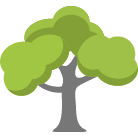 Pleasanton Tree Removal