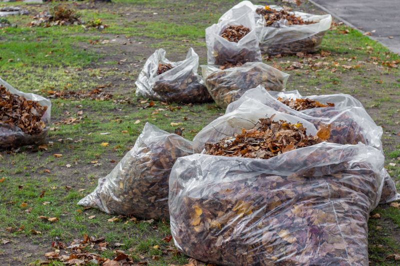 Leaf Collection