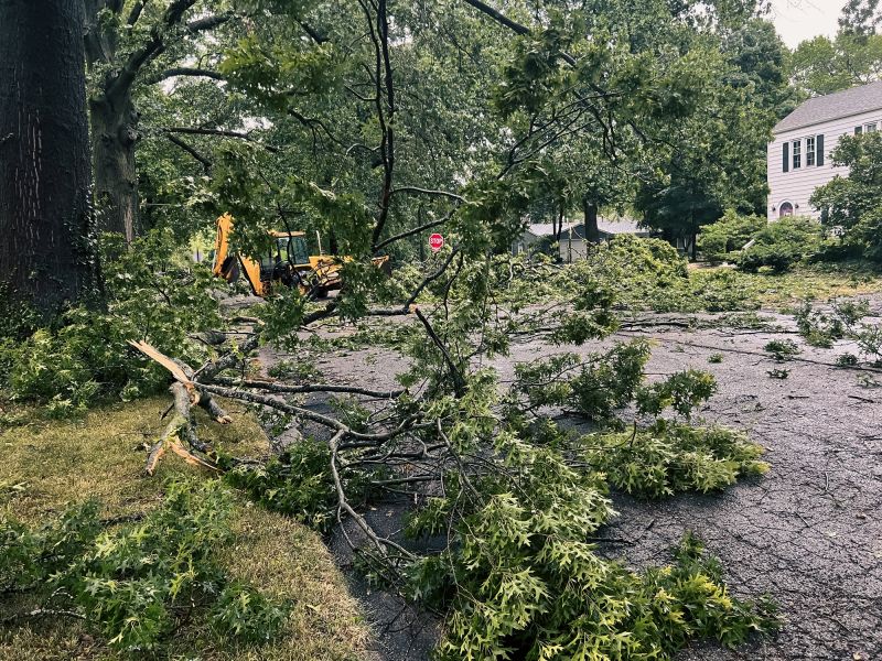 Tree Removal Truck