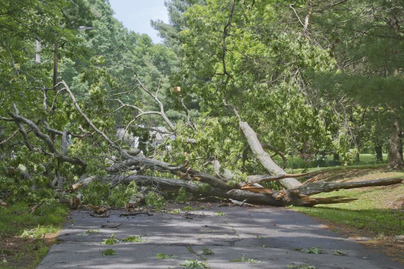Clearing Driveways