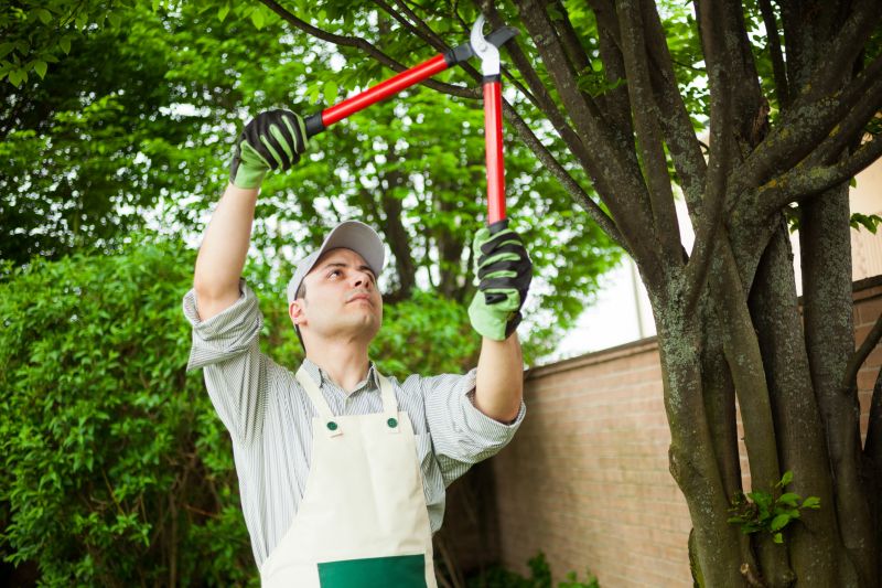 Tree Cutting and Pruning
